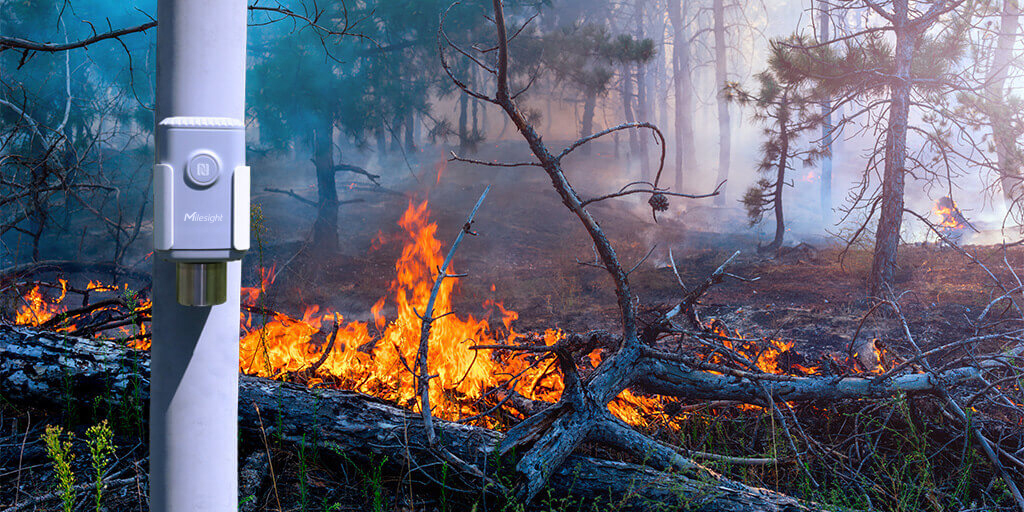 CO2-monitoring-forest-Fire-detection