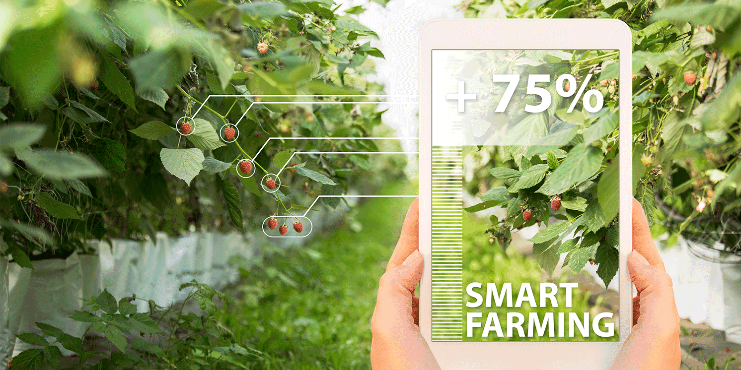 digital-farming