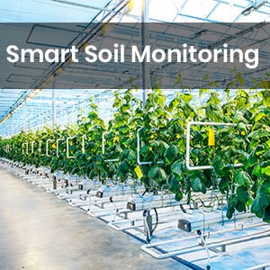 Smart Soil Monitoring Boosts Significantly Higher Yield Of Crops, Vegetables, Flowers And Fruits