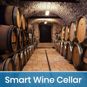 Smart Wine Cellar Protects Your Operators From The Risk Of Carbon Dioxide Poisoning