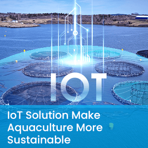 IoT Solution Make Aquaculture More Sustainable