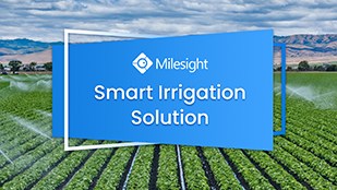 milesight iot smart agriculture video