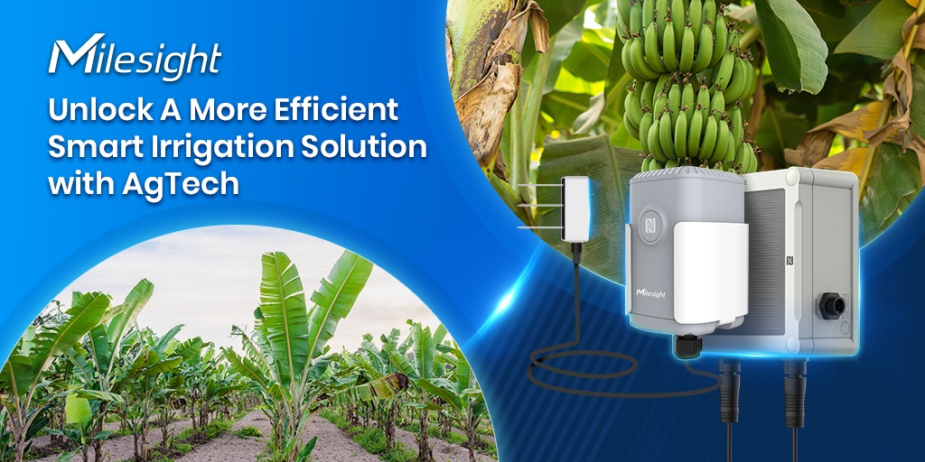 smart irrigation application on banana plantation
