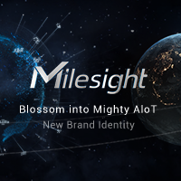 Milesight: Blossom Into Mighty AIoT – Introducing Our New Brand Identity