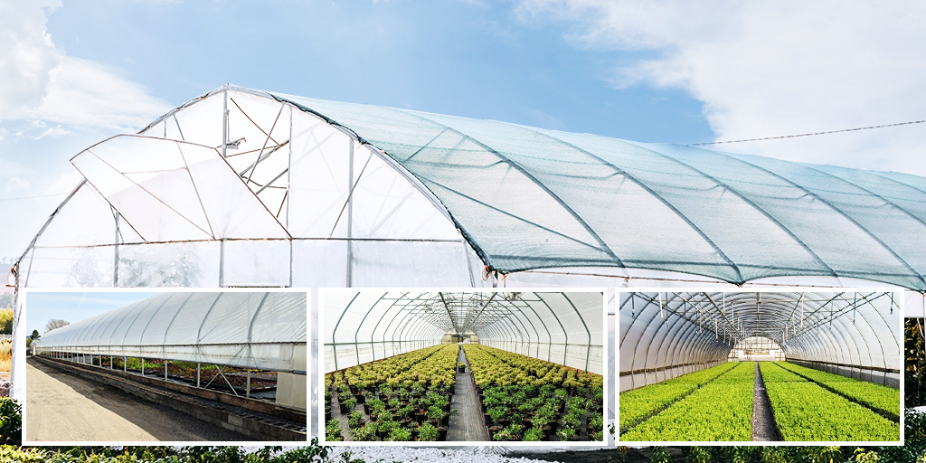 agriculture-greenhouse-temperature-environment